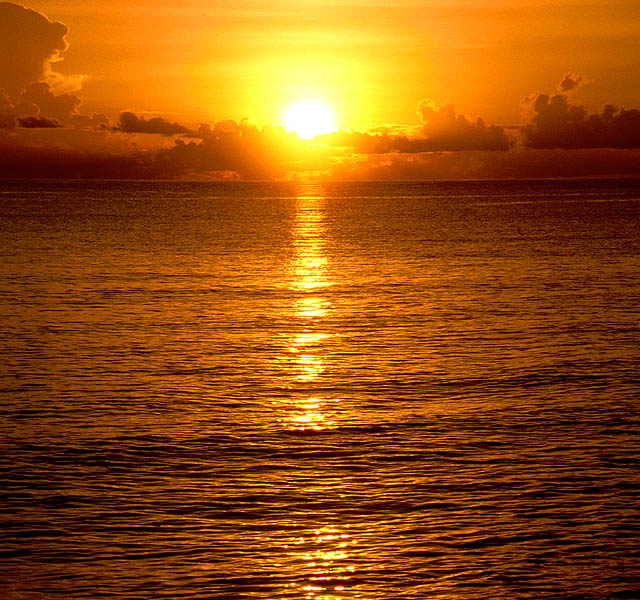 sarasota sunset cruise