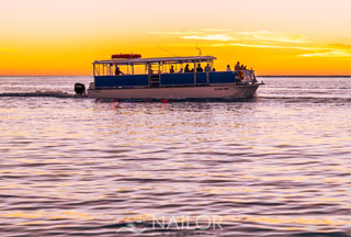 Sarasota Sunset Cruises and dolphin tours