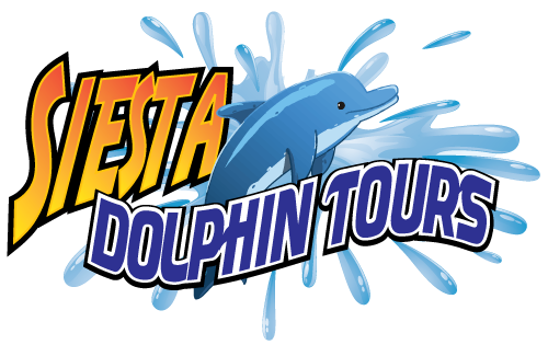 Siesta Key Dolphin and Sunset Cruises